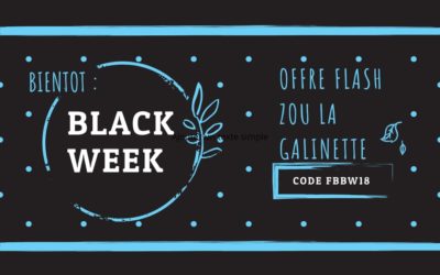 Black Friday : offres PROMO au gîte à ne pas rater !