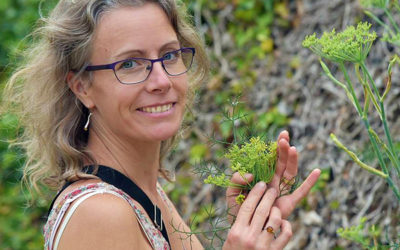 Atelier-Sortie “Plantes sauvages comestibles”